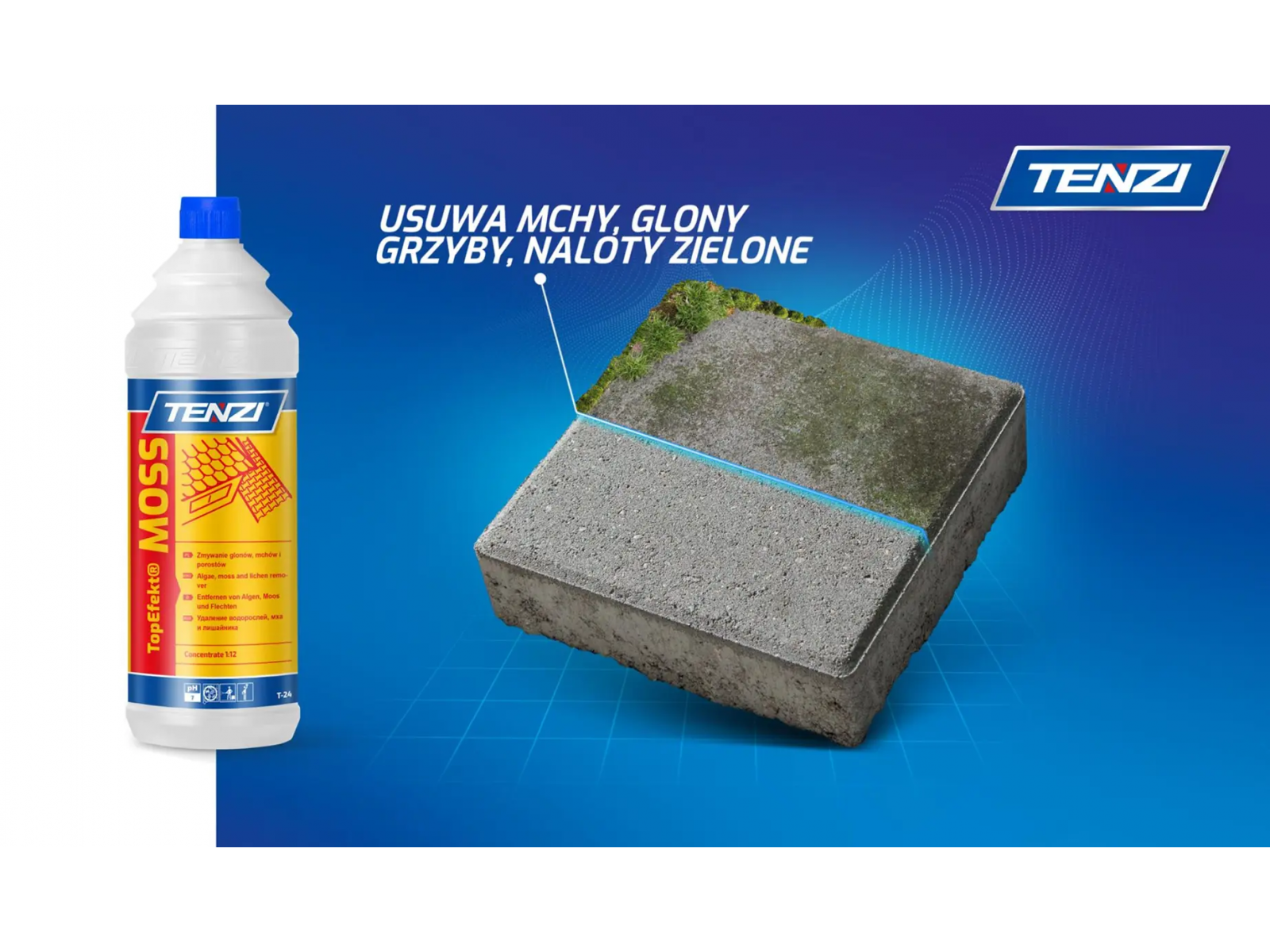 Top Efekt MOSS T24 Tenzi 5l grzybobójczy